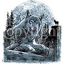 Full Moon Wolf Adult Long Sleeve T-Shirt