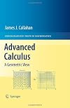 Advanced Calculus: A Geometric View (Undergraduate Texts in Mathematics)