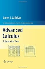 Advanced Calculus: A Geometric View (Undergraduate Texts in Mathematics)