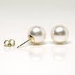 HinsonGayle AAA 9.5-10.0mm White Cultured Pearl Stud Earrings (14K Yellow Gold)