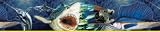 Brewster Wallcovering 9w X 10 long Extreme Fishing Border Brewster Wallcovering 9