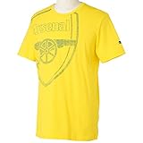 (プーマ)PUMA AFC JR グラフィック SS TEE 746481 08 エンパイア イエロー/エステート ブルー 164