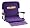 Minnesota Vikings