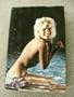 Marilyn: The Last Take