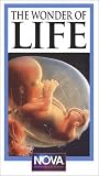 Review Wgbh Boston  / The Wonder of Life (The Miracle of Life / The Ultimate Journey / The Unknown World / The Photographer's Secrets)
