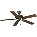 Progress Lighting P2521-77 52-Inch Signature 5-Blade Fan with 153 X 18 Reversible Motor, Forged Bronze