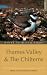 Where to Watch Birds in Thames Valley and the Chilterns (Where to Watch Birds)