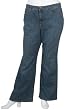 Jeanstar Women's Plus Elle Bootcut Jean