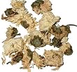 Chrysanthemum Tea 4oz.