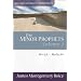 The Minor Prophets: Micah-Malachi Volume 2 (Expositional Commentary)
