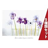 ���i�̏ڍ�