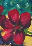 Tall Poppies