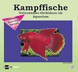 Kampffische - Frank Sch&auml;fer