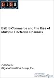 B2B E-Commerce and the Rise of Multiple Electronic Channels