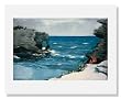 Winslow Homer, Rocky Shore, Bermuda