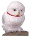 FEATHERED OWL-Harry Potter