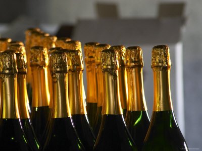 Bottles of Sparkling Wine, Bodega Carlos Pizzorno Winery, Canelon Chico, Canelones, Uruguay Photographic Poster Print by Per Karlsson, 30x40