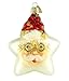 Old World Christmas Starry Night Santa Glass Ornament