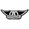 Aerosmith - Wings Logo Decal