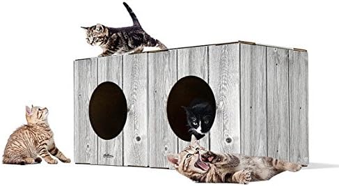 2 Pack Corrugated Cardboard Cat Box | Cardboard Kitty Condo, Best Kitty Condos