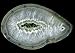 Wallmonkeys Peel and Stick Wall Decals - Large Agate Geode - Removable Graphic