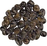 TUMBLED STONE - STROMATOLITE