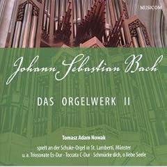 Das Orgelwerk II