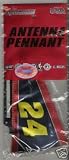  : #24 JEFF GORDON ANTENNA PENNANT FLAG