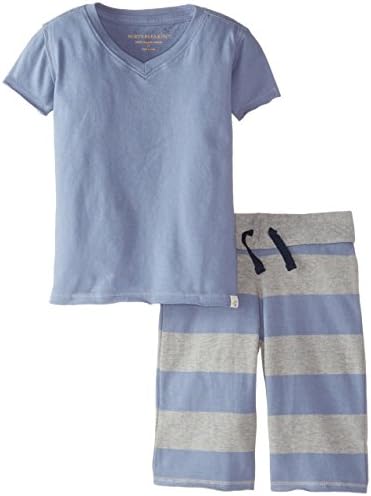 Burt's Bees Little Boys' Toddler Organic Solid V-Neck Tee and Rugby Stripe Board Short, Twilight, 4T