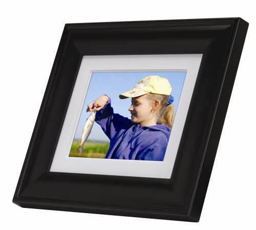 Audiovox DPF508 5-Inch Digital Picture Frame (Black)