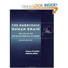 The Embryonic Human Brain: An Atlas of Developmental Stages