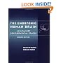The Embryonic Human Brain: An Atlas of Developmental Stages