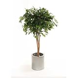 Review i-koncepts Ltd  / 4ft Mixed Ficus with Natural Stem - Artificial Plant