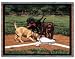Labs Labrador Retriever Puppies on Baseball Field Tapestry Throw Blanket