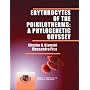 Erythrocytes of the Poikilotherms: A Phylogenetic Odyssey