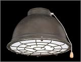 Emerson Ceiling Fans LK49+WB Gym Light Indoor/Outdoor Ceiling Fan Lamp Kit Finish: Weathered Bronze