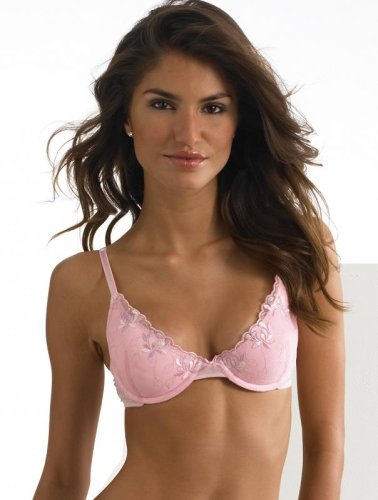 Lily of France Value in Style Women's Embroidered Push Up Plunge Bra #7511701