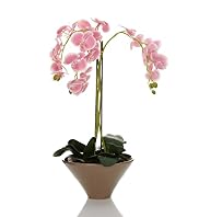 Artificial Orchid in Triangle Ceramic Pot
