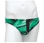 Speedo Men's Euphoria 1" Bathing Suit