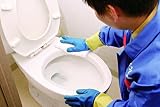 おそうじ本舗のトイレクリーニング＋コーティング　サービスの画像