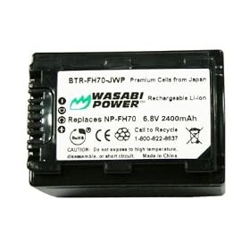 Sony HDR-XR500V, XR500V Replacement Battery (Premium Japanese Cells, 2400 mAh, 5-YR Warranty) (by Wasabi Power®)
