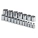 SK 4120 19 Piece 1/2-Inch Drive 6 Point 3/8-Inch to 1-1/2-Inch Socket Set