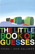 The Little Book of Guesses