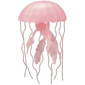 Jellyfish, Wild Safari by Wild Safari