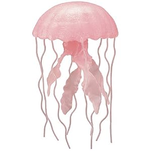 Mauve Stinger Jellyfish by Safari
