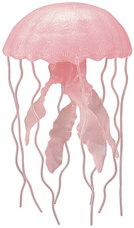 Childrens Toyshop  Toys : Jellyfish, Wild Safari