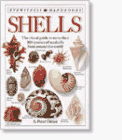 Shells (Micro Strips)
