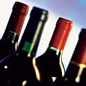 12 Bottles of Spanish Rioja Wines (Ref 99001MVB)