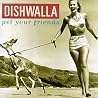 Image of album by Dishwalla