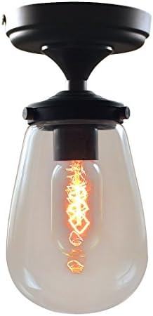 WestMenLights 10022001 Clear Grape Glass Ceiling Light for Porch Foyer Loft Balcony Entry Doorway